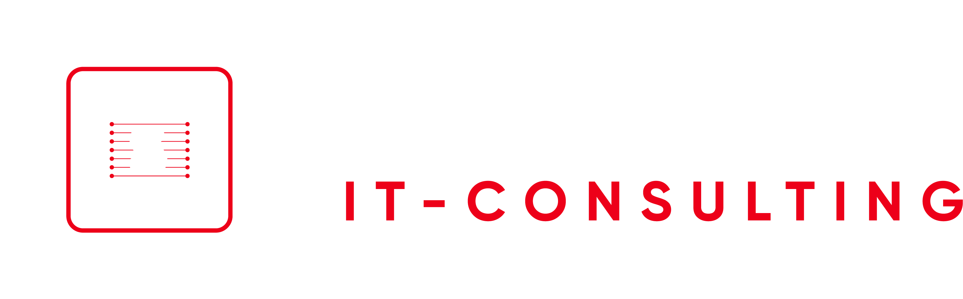 Steidler IT-Consulting